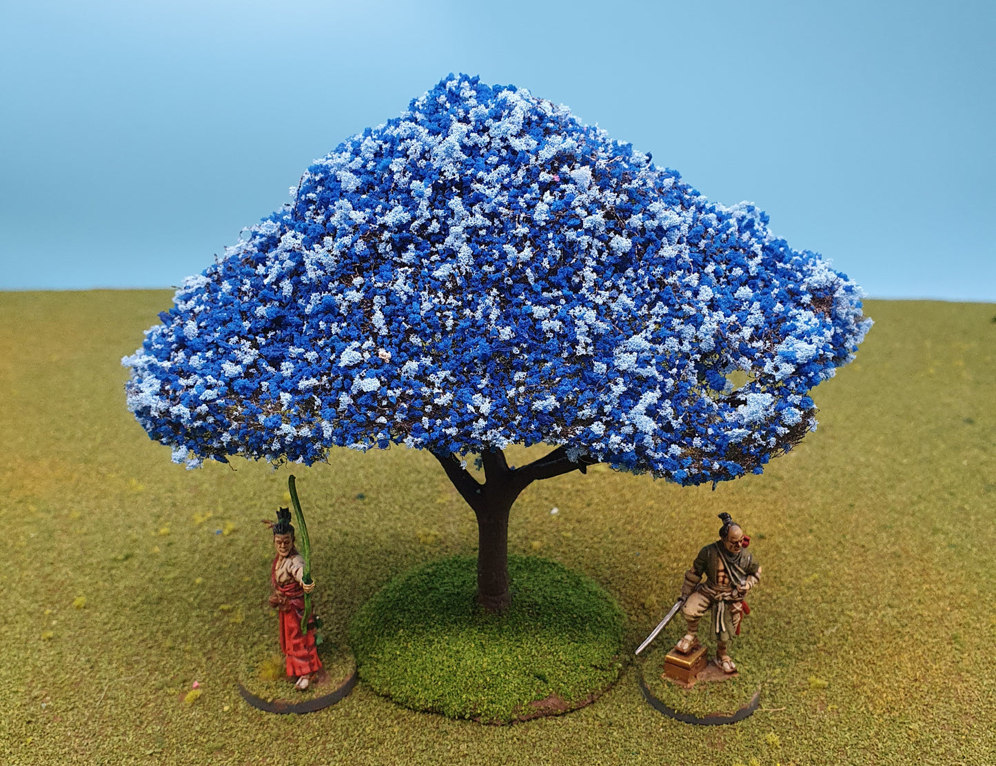 28mm Blue Jacaranda Trees