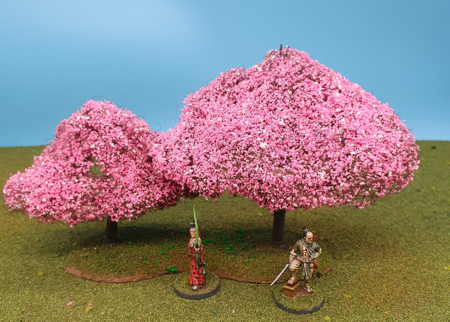 28mm Cherry Blossom Trees