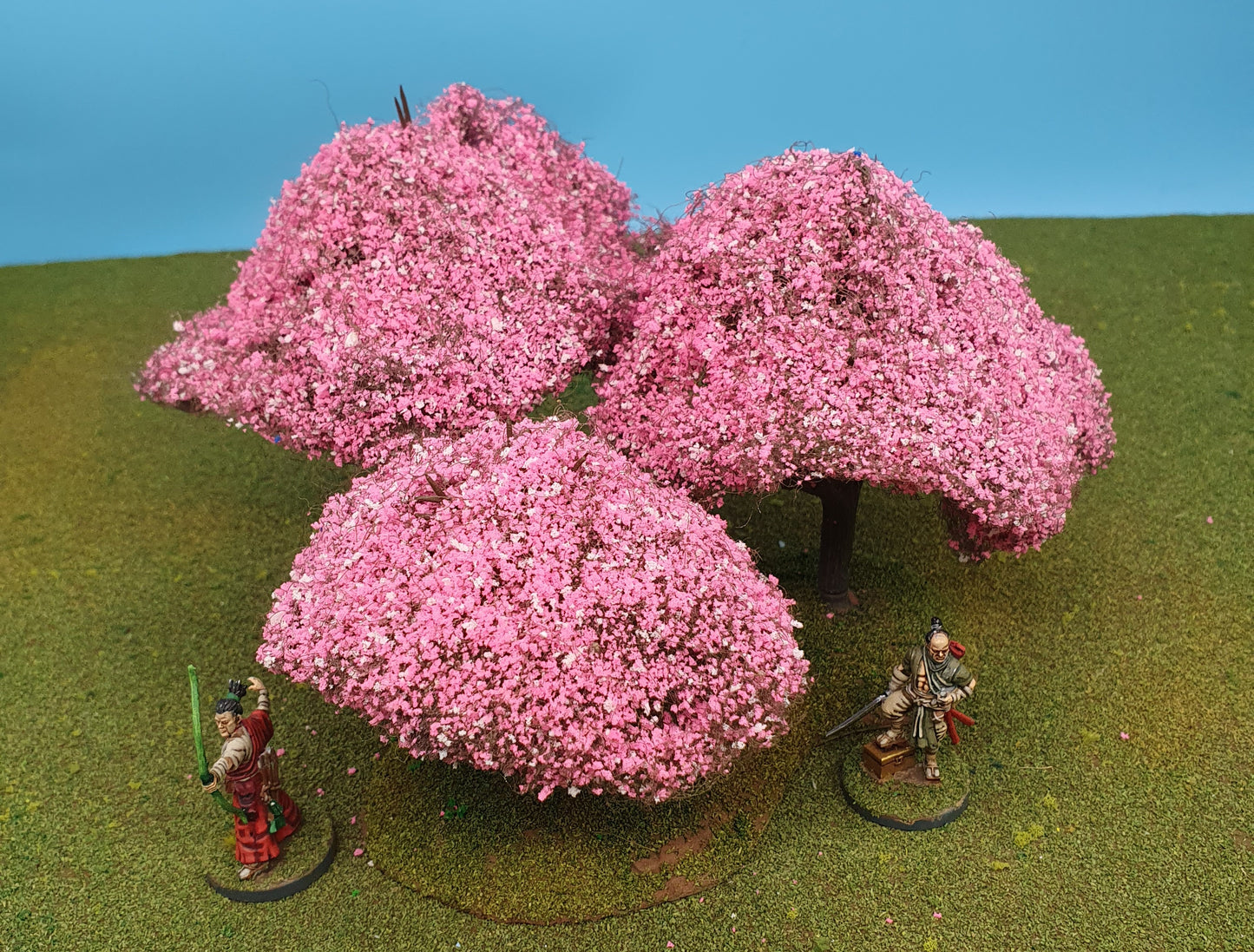 28mm Cherry Blossom Trees