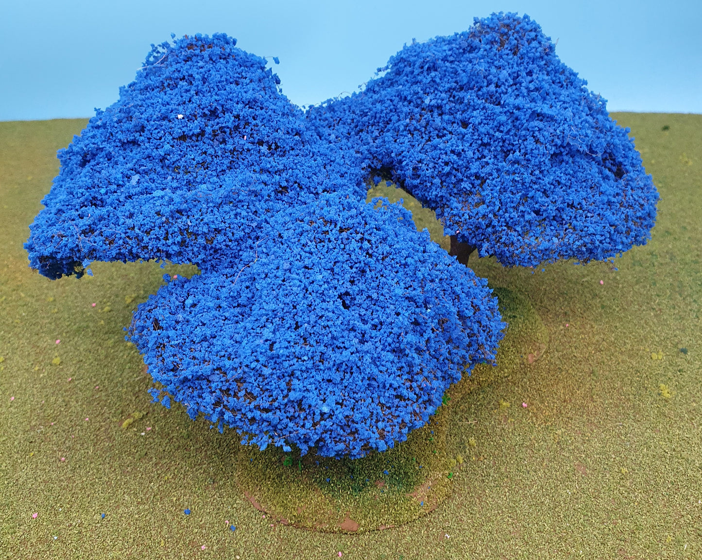 28mm Blue Jacaranda Trees