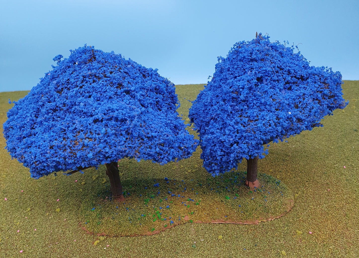 28mm Blue Jacaranda Trees