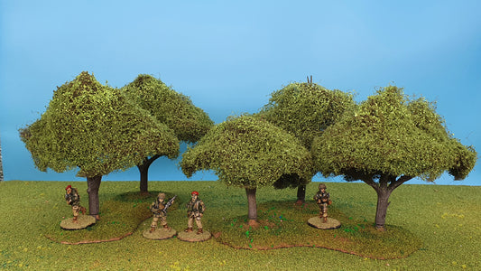 28mm Deciduous green Trees